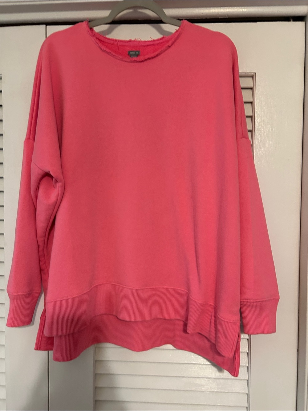 aerie Oversized Coral Pink Crewneck Sweatshirt